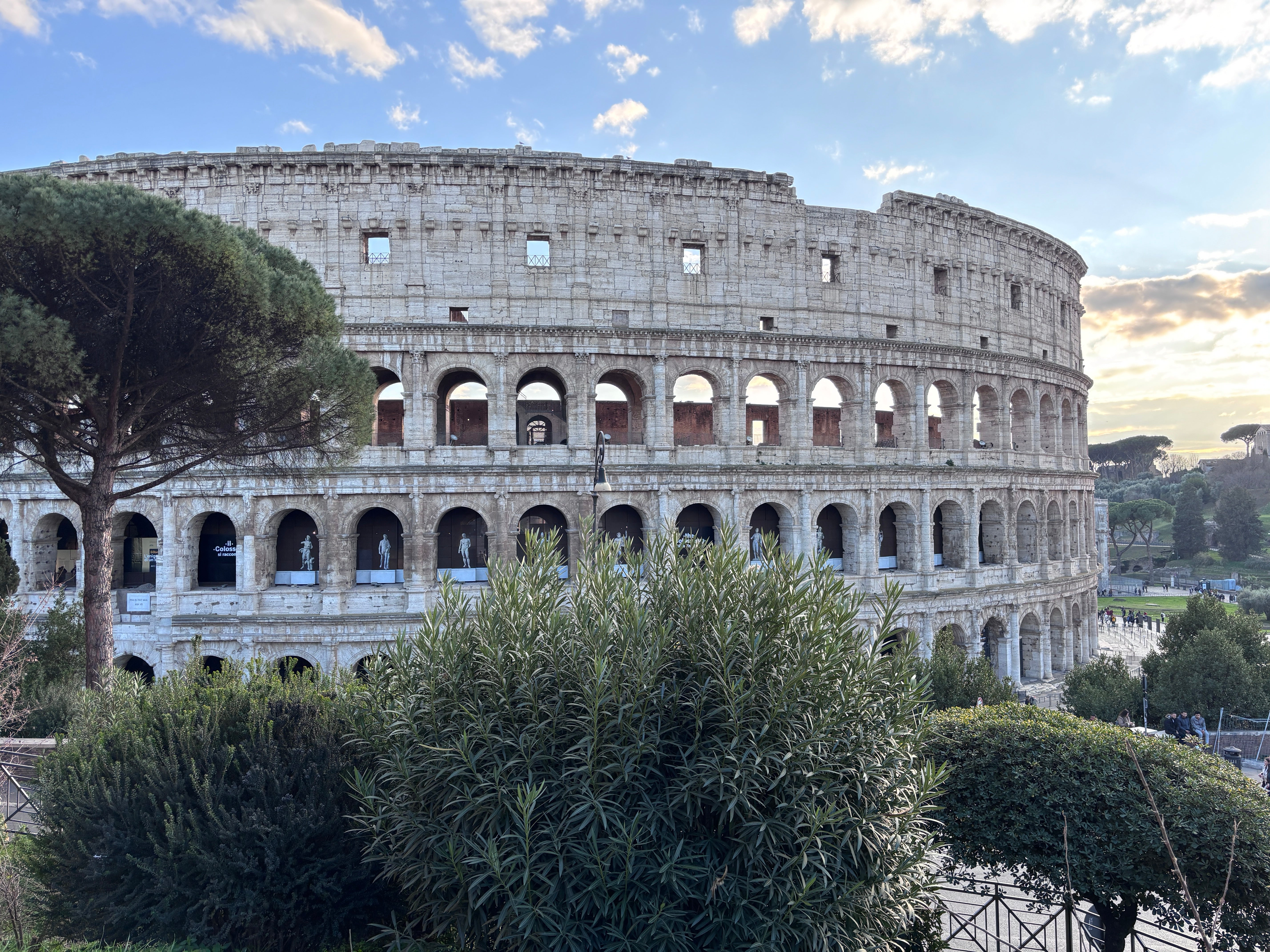 The Colosseum Rome with Olive Trees